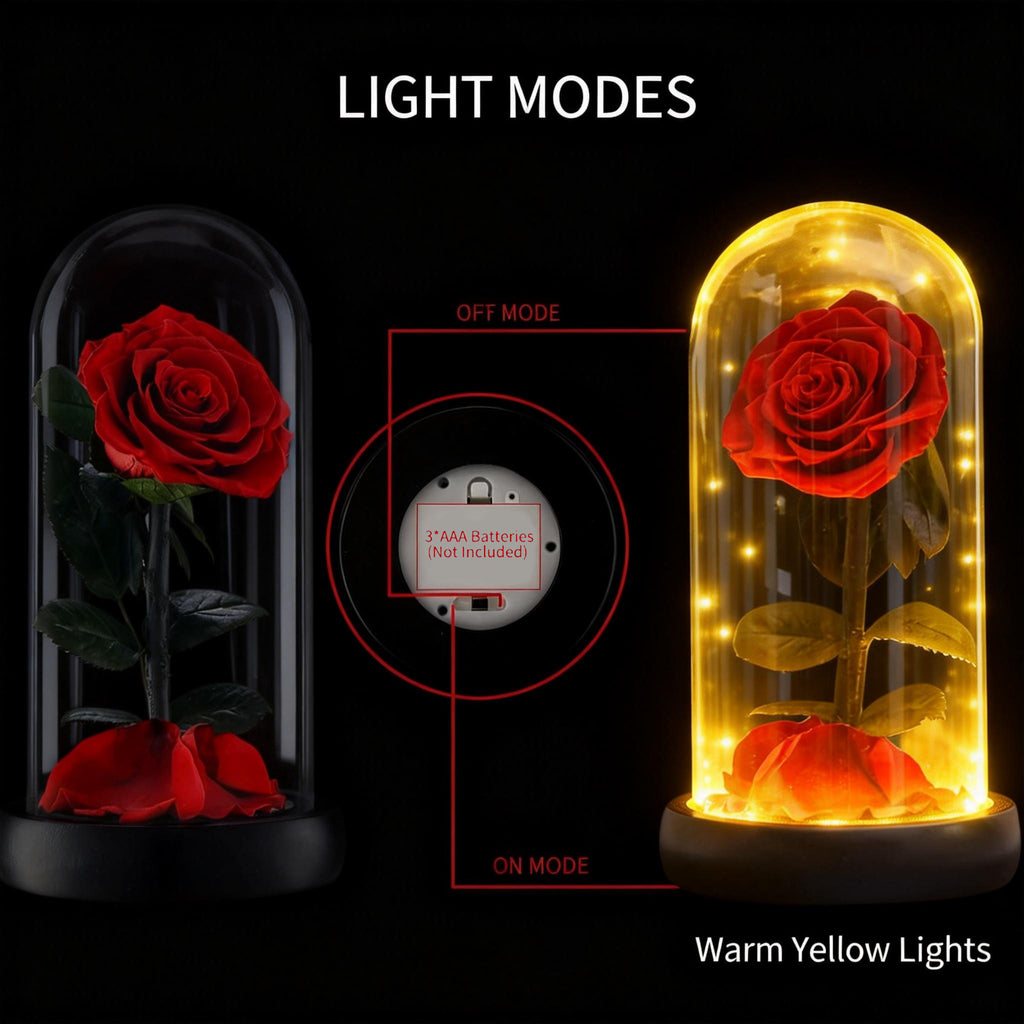 Preserved Forever Rose