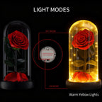 Preserved Forever Rose