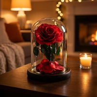 Preserved Forever Rose