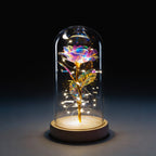 Preserved Galaxy Forever Rose