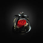 Round Cover Preserved Forever Rose