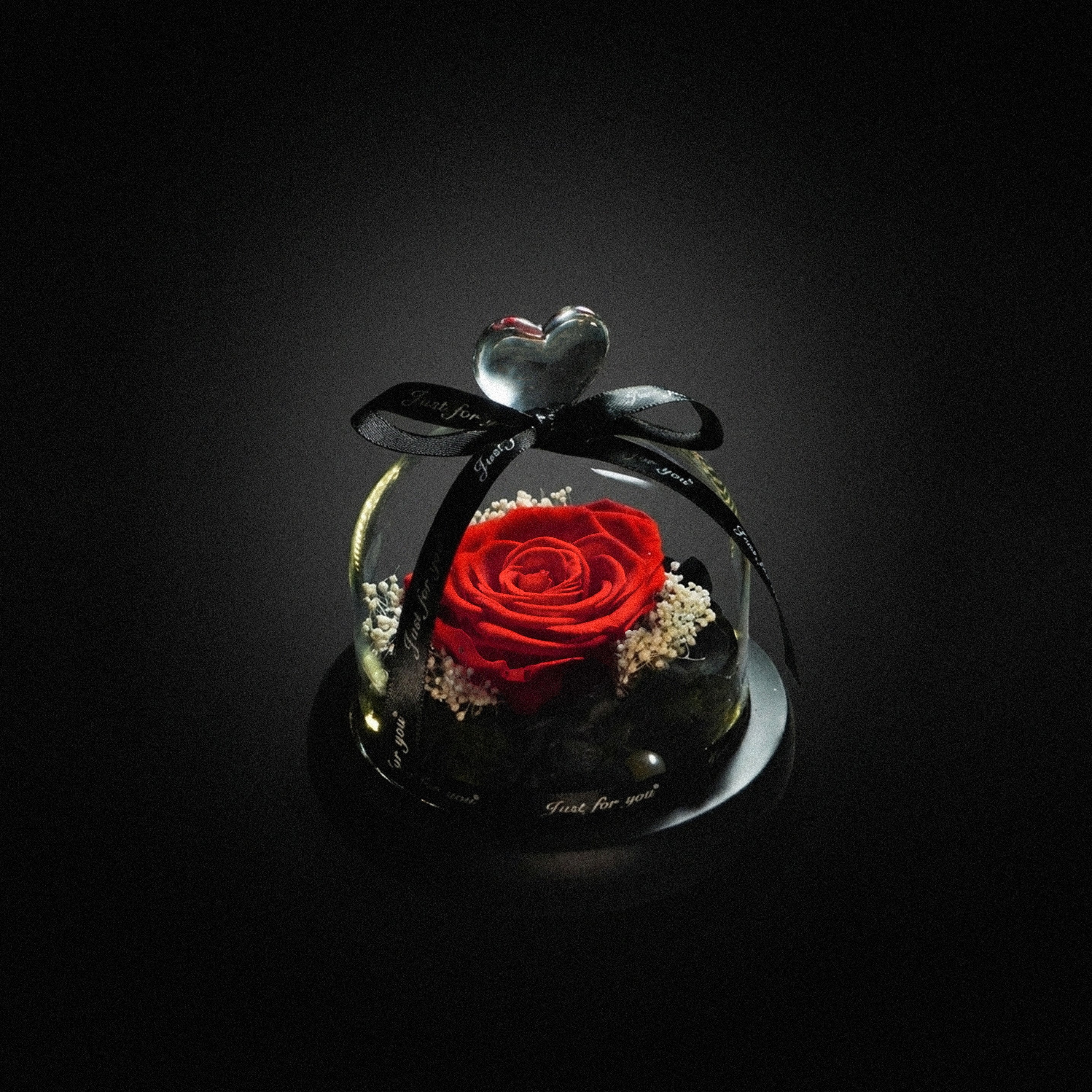 Round Cover Preserved Forever Rose