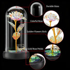 Preserved Galaxy Forever Rose