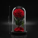 Preserved Forever Rose Plus - Red